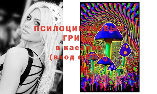 spice Медногорск