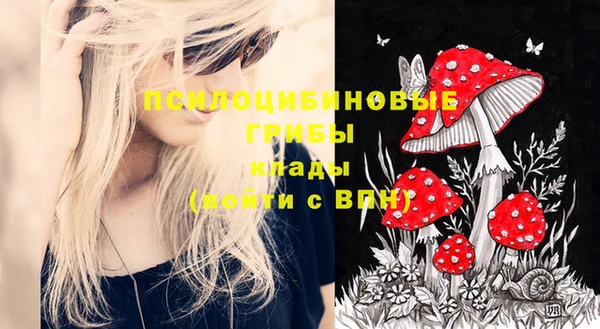 прущая мука Мегион