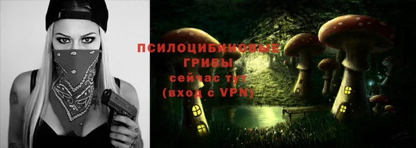 прущая мука Мегион