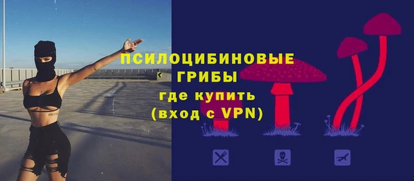spice Медногорск