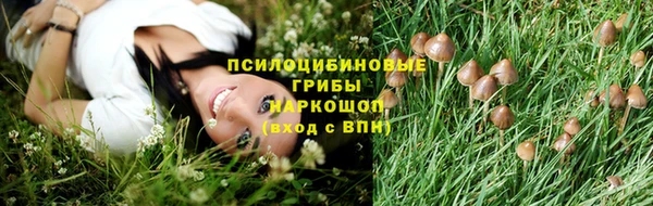 ECSTASY Медвежьегорск