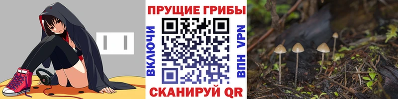 Псилоцибиновые грибы мицелий  Рыбное 