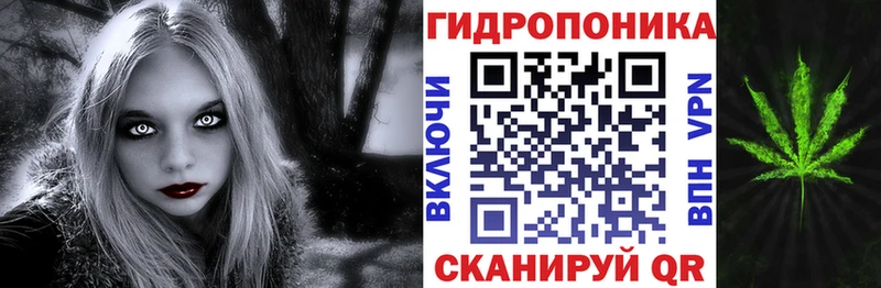 Шишки марихуана гибрид Рыбное